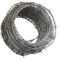 wholesale Barbed wire hot dipped galvanized wire blade wire in kenya